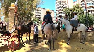 Feria Del Caballo Jerez De La Frontera 2022 [upl. by Thibaud]