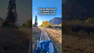 Alpine Mountain Coaster 🎢 Through Utah’s Autumn Trees 🍂 in Snowbird 🏔️ [upl. by Auqinal]