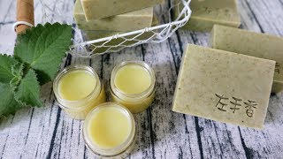 左手香皂amp左手香膏DIY  How to make herbal soap and ointment with Indian Borage [upl. by Chrotoem]