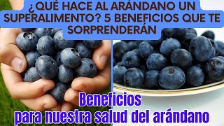 Arándano ¿Qué Hace al Arándano un Superalimento 5 Beneficios que Te Sorprenderán [upl. by Rieger839]