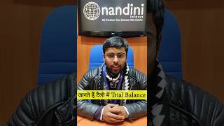 How to View Trial Balance in TallyPrime  Trial Balance Report  Nandini Infosys [upl. by Nosidam]