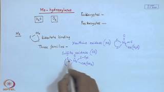 Mod22 Lec22 Molybdenum Enzymes  I [upl. by Caine608]