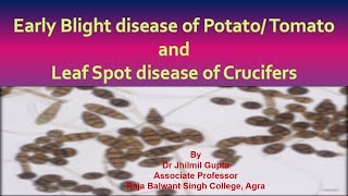 Early Blight Disease of TomatoPotato and Leaf Spot Disease of Crucifers। Dr Jhilmil Gupta [upl. by Eixirt512]