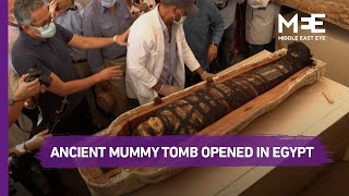 Ancient mummy coffin sealed 2500 years ago opened in Egypt [upl. by Nniroc]