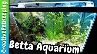 20 Gallon Betta Community Tank  Aquarium CoOp UNBOXING [upl. by Kaya908]