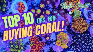 Top 10 Tips For Buying Coral Frags for Your Reef Tank [upl. by Eidoj]