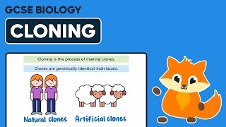 Cloning  GCSE Biology [upl. by Winton]