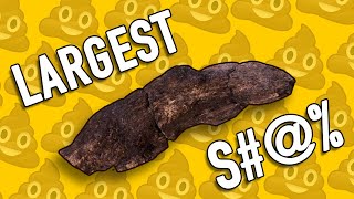 THE LARGEST FOSSILIZED HUMAN TURD EVER FOUND [upl. by Rexanna]