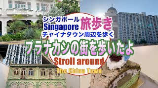 じいさんファンファン ６２ シンガポール プラナカン文化 街歩きをしてみたよ 2022年7月26日 一人旅 シンガポール プラナカン文化 海鮮料理 チャイナタウン [upl. by Letti]