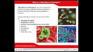 OSHA Bloodborne Pathogen Training Bloodborne Pathogen Video [upl. by Alistair]