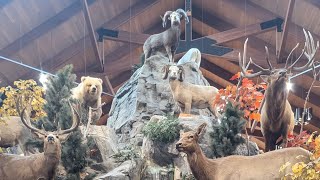 I went to a Cabelas it was awesomecabelas [upl. by Racso]