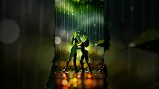 dancing plant  romantic status romanticdance romanticsong dancingplantito music love shorts [upl. by Aonehc]