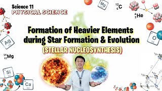 FORMATION OF HEAVIER ELEMENTS  STELLAR NUCLEOSYNTHESIS  SCIENCE 11  PHYSICAL SCIENCE [upl. by Kwarteng]