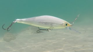 Rapala Shadow Rap Shad full review [upl. by Legra]