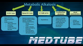 Metabolic Alkalosis Made Easy [upl. by Ak]