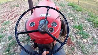 Massey Ferguson 65X um excelente trator [upl. by Ethelyn]