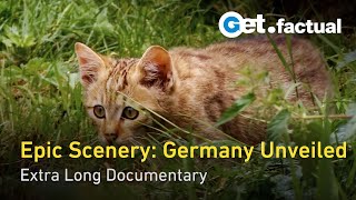 Wild Germany Scenic Journey from the Black Forest to the Coastlines  Extra Long Documentary [upl. by Annaerda]