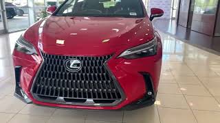 2024 Lexus NX350 AWD Walkaround [upl. by Verras]