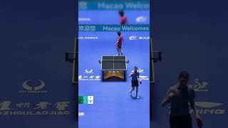 The EPIC Comeback Harimoto vs Groth ITTF World Cup Macau 2024 Thriller [upl. by Langston]