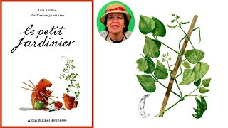 Lecture dalbum  Le petit jardinier Lars Klinting Auteur  Albin Michel Jeunesse Editions [upl. by Dorette]