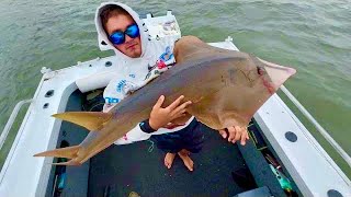 South Stradbroke Fishing [upl. by Lemhar]