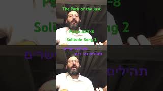 Solitude Song 2 jewishmusic torah hebrewmusic shorts  pathofthejust bible psalms [upl. by Jahn]