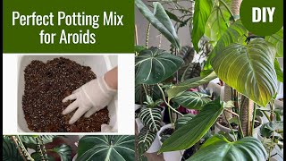 How To Make Perfect Aroid Potting Mix SOIL FREE for Healthy and Thriving Aroids [upl. by Harriette637]