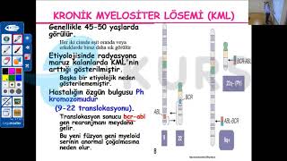 STS Tıp  Dahiliye  Hematoloji  Lökomoid Reaksiyon  Online STS Tıp Doktorluğu Kursu [upl. by Oinafipe]