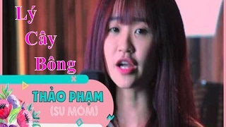 MV Studio cover Lý Cây Bông full  Thảo Phạm  Beat by Uness Beatz [upl. by Avehsile]