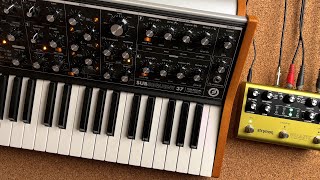 Moog Subsequent 37  Strymon Volante  Duophonic [upl. by Losse]