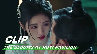 Clip Ju Jingyi Apologizes And Kisses Zhang Zhehan  The Blooms At RUYI Pavilion EP22  如意芳霏  iQIYI [upl. by Enneire]