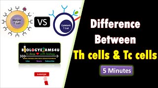 Difference between Th cell and Tc cell  T Helper cells and T cytotoxic cells [upl. by Frantz569]