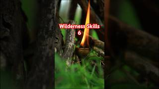 Homemade Fire Starters for the Outdoors experiment outdoorsurvival camping bushcraft survival [upl. by Tebazile]