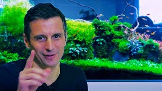 HOW WE BUILT AN OFFICE TANK  DECORATE YOUR WORKSPACE WITH AN AQUASCAPE [upl. by Hartzell]