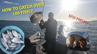 BOAT FISHING OVER 100 FISH  ON FEATHERS fishing youtube [upl. by Aihsenrad183]