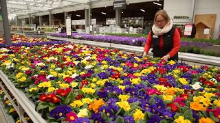 Plant nu voordelig je tuin aan dankzij Floralux Ham maart 2019 [upl. by Rihaz]