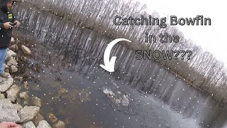 Snowfin Winter fishing for Bowfin while its SNOWING [upl. by Zabrina]