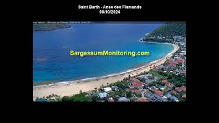 2024 Sargassum Monitoring® Official  Saint Barthelemy [upl. by Crosby]