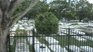 Cemetery Where Michael Jackson Filmed Thriller [upl. by Macilroy]