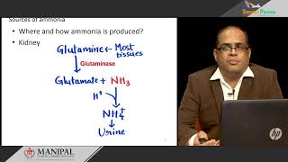 23b Sources of Ammonia [upl. by Ttelracs748]