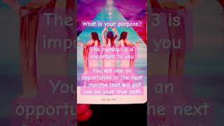 What is your purpose tarot dailyoracle [upl. by Tobiah]