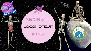 TTR S2PASSLASUET3  Anatomie  Locomoteur 2 [upl. by Eseekram]