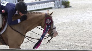 I qualified for South Eastern Medal Finals Again 25’ Winning round for qualifier  ClaireEquus [upl. by Emyaj]