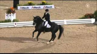 Totilas amp Edward Gal WEG Grand Prix Freestyle [upl. by Byrne888]