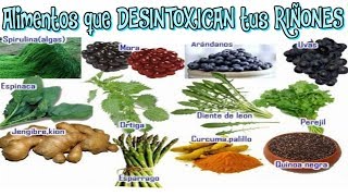 8 ALIMENTOS para tener RIÑONES SALUDABLES  Remedios caseros para limpiar los riñones [upl. by Us509]