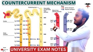 Countercurrent Mechanism  Countercurrent Multiplier  Countercurrent Exchanger Symstem [upl. by Volny]