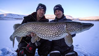 MultiSpecies Ice Fishing Tips amp Tricks Fishing Geeks [upl. by Ethbin]