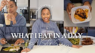 What I Eat in a Day  Easy HighProtein Meals After Bariatric Surgery VSG [upl. by Aloivaf]