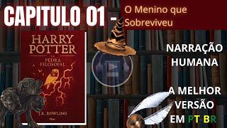 Harry Potter e a Pedra Filosofal ⚡ CAPITULO 01 Audiolivro em PTBR [upl. by Brnaby623]