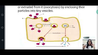 4 Pharmacokinetics  General Pharmacology [upl. by Lednem]